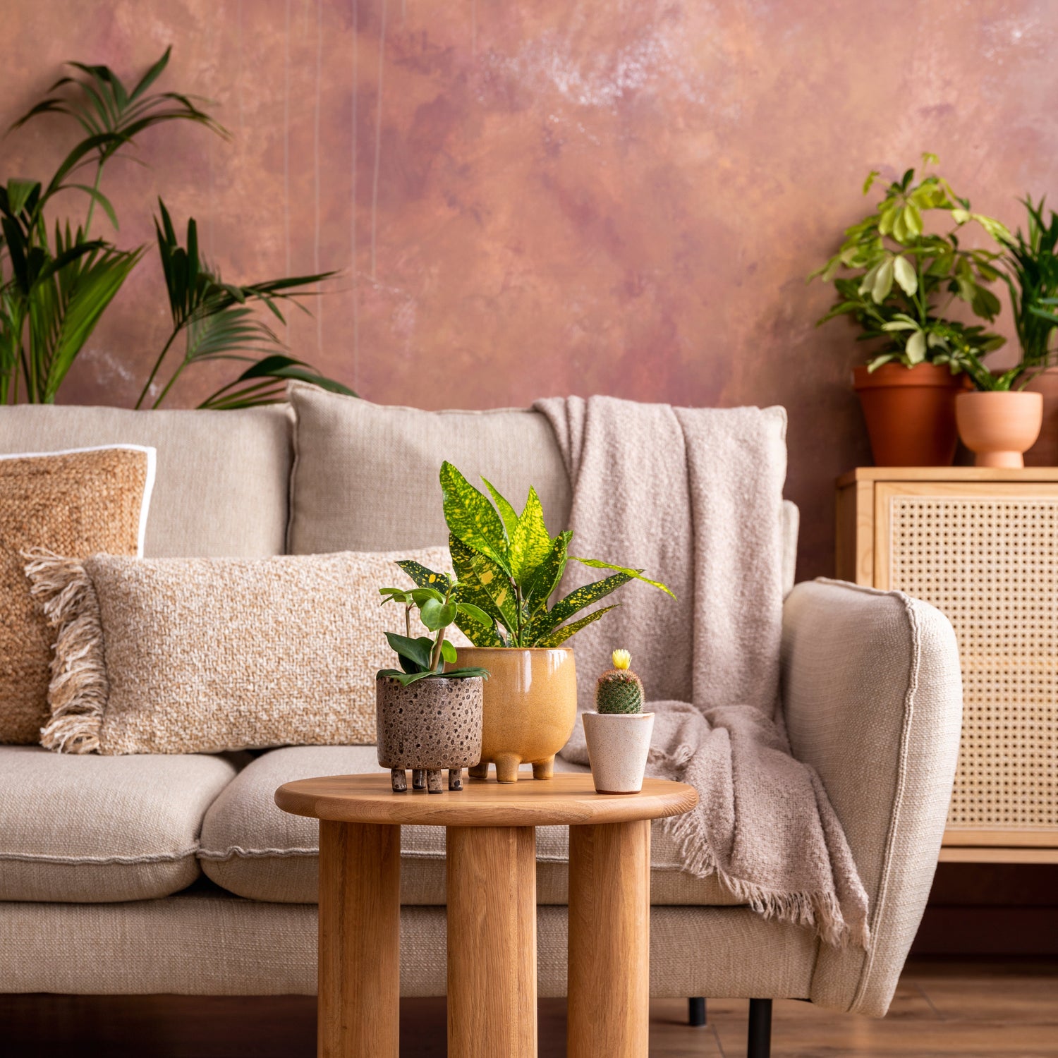 Premium Home Decor Collection